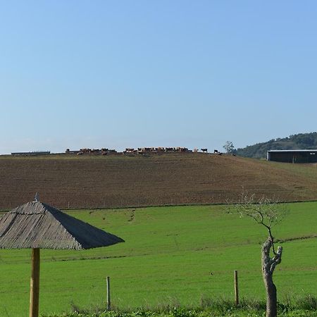 Herdade Dos Montes Bastos Santa Luzia  Eksteriør bilde