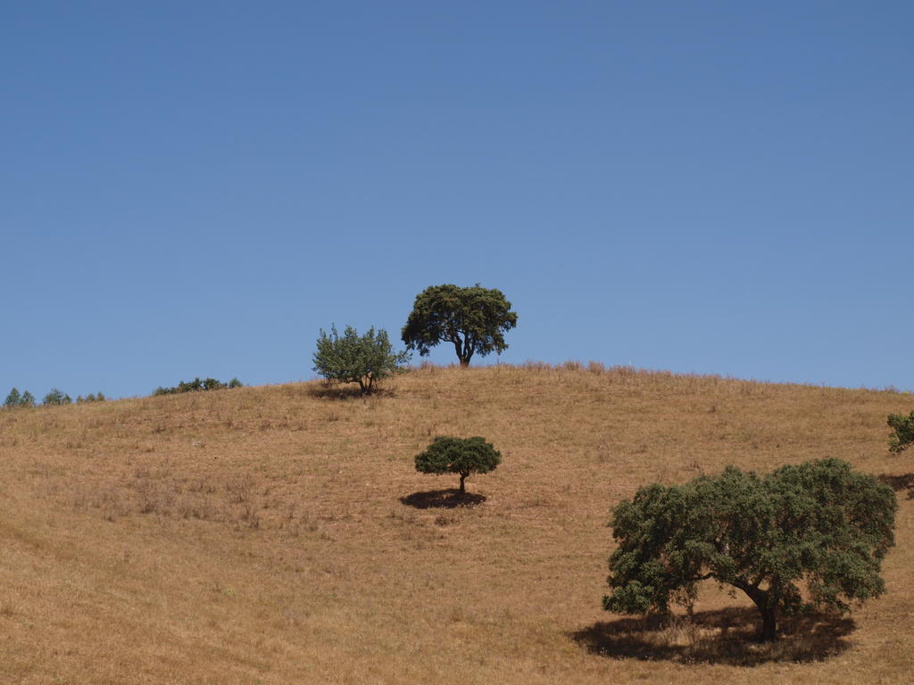 Herdade Dos Montes Bastos Santa Luzia  Eksteriør bilde